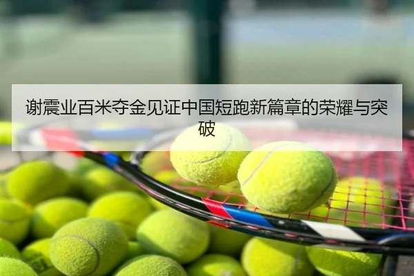 谢震业百米夺金见证中国短跑新篇章的荣耀与突破