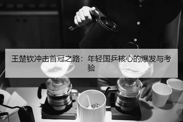 王楚钦冲击首冠之路：年轻国乒核心的爆发与考验